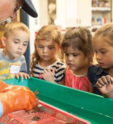 Young children observe a hands-on classroom activity