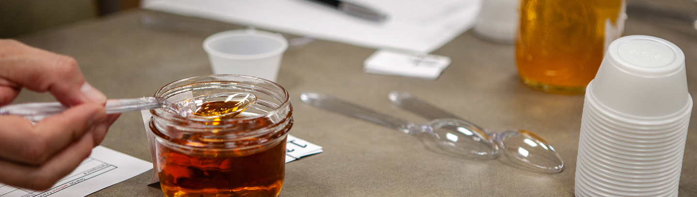 A spoonful of golden seal oil is lifted from a glass jar during judging