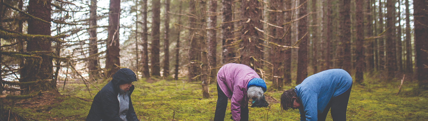 Three people gathering materials together in a forest