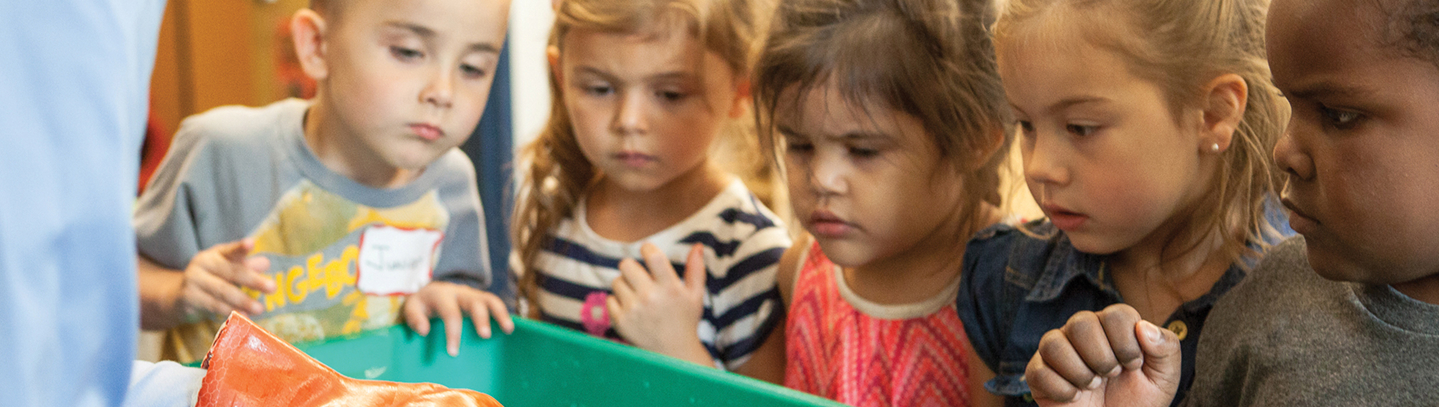Young children watch an early education classroom activity