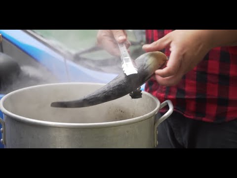 How to Make Horn Spoons video thumbnail