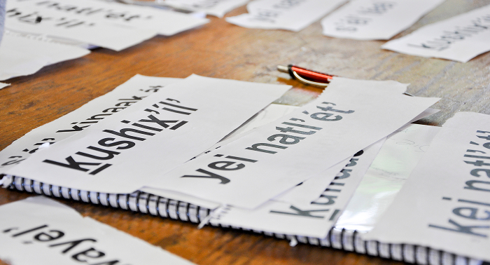 Indigenous language vocabulary cards arranged on a table