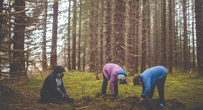 Artists gathering materials together in a forest