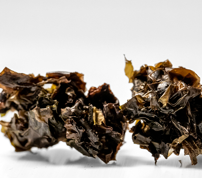 Dried black seaweed arranged against a white background