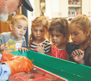 Children observing a hands-on literacy activity