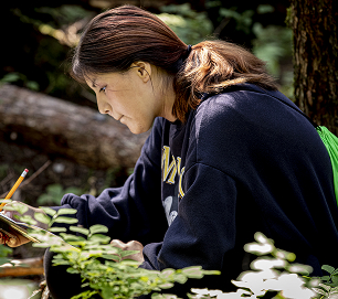 A student drawing observations in a field journal in the forest