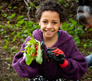 A student holding a freshly harvested plant