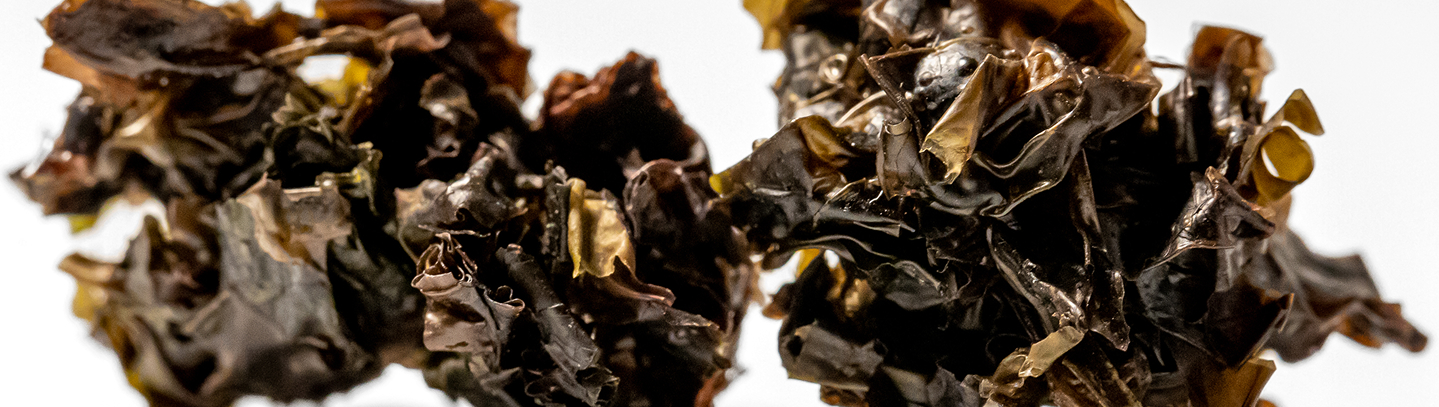 Dried black seaweed arranged against a white background