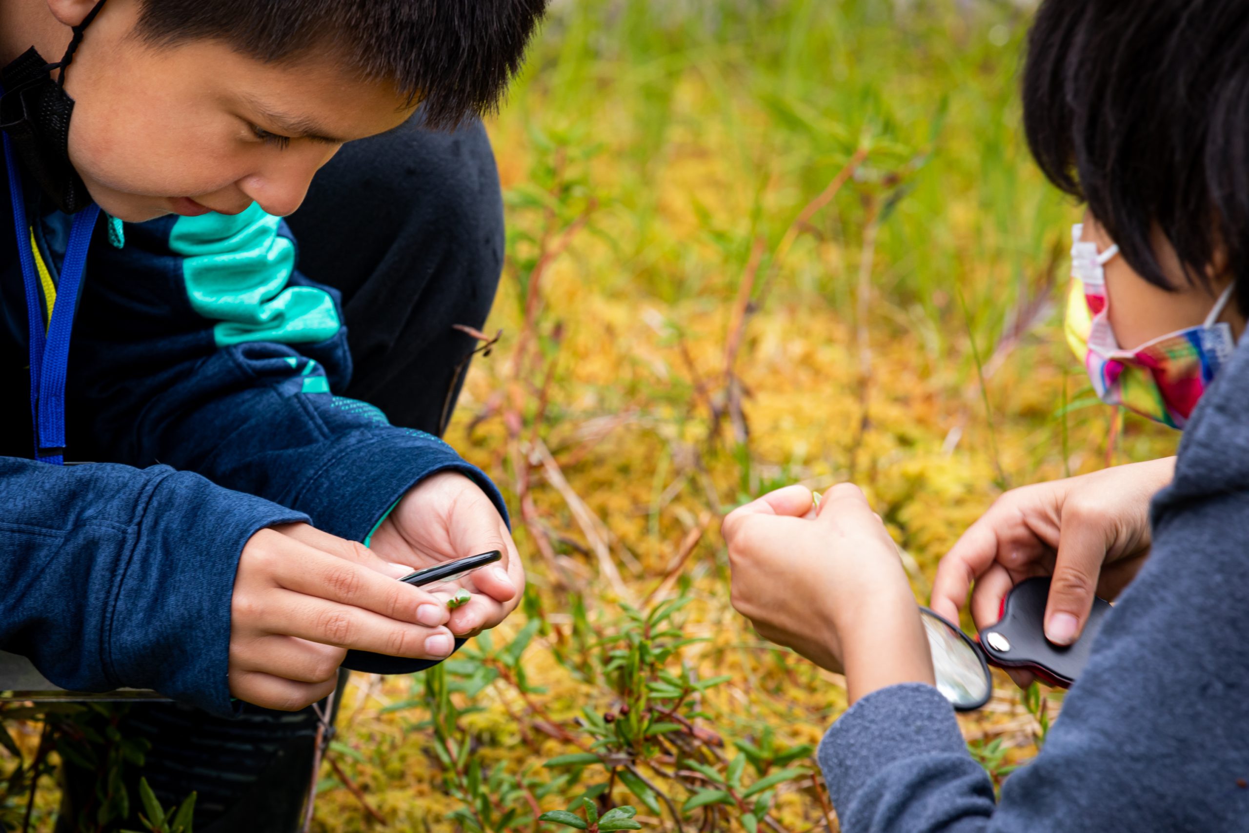 Students examining a small plant during an outdoor Raven Writes activity