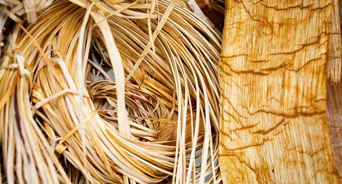 Southeast Alaska Native weaving materials and a carved wooden form