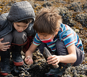 Two students examining marine life along a rocky shore